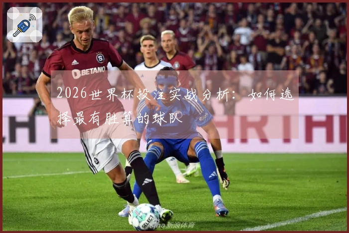 2026世界杯投注实战分析：如何选择最有胜算的球队