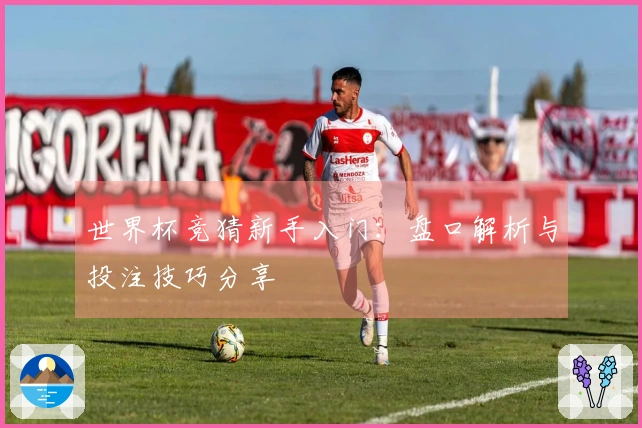 世界杯竞猜新手入门：盘口解析与投注技巧分享