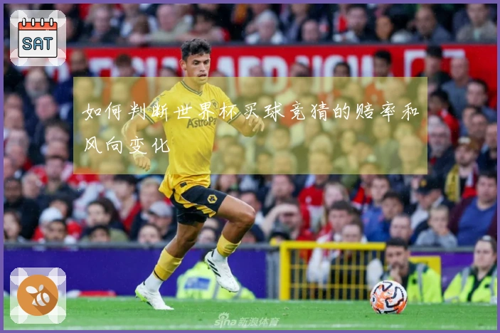 如何判断世界杯买球竞猜的赔率和风向变化