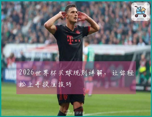 2026世界杯买球规则详解,让你轻松上手投注技巧