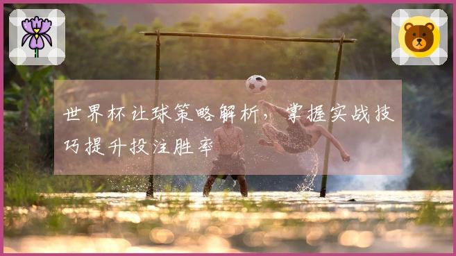 世界杯让球策略解析，掌握实战技巧提升投注胜率