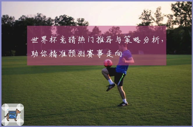 世界杯竞猜热门推荐与策略分析，助你精准预测赛事走向