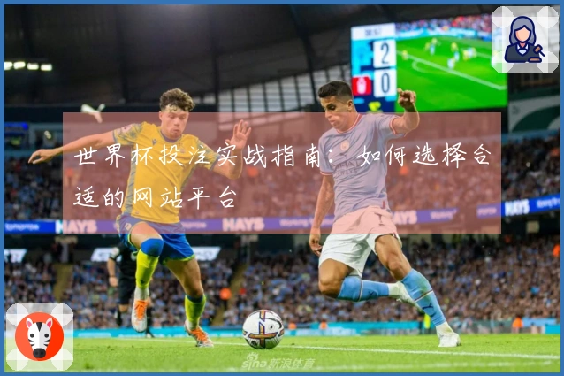 世界杯投注实战指南：如何选择合适的网站平台