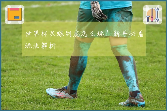 世界杯买球到底怎么玩？新手必看玩法解析