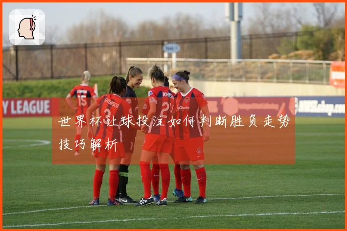 世界杯让球投注如何判断胜负走势技巧解析