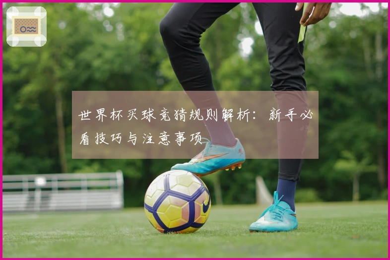 世界杯买球竞猜规则解析：新手必看技巧与注意事项