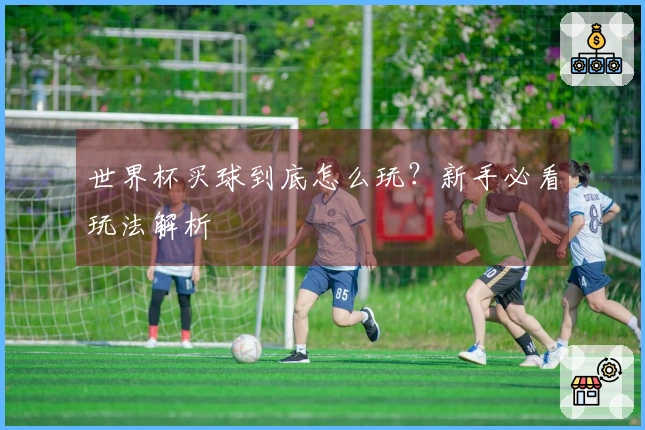 世界杯买球到底怎么玩？新手必看玩法解析