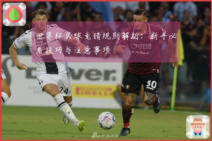 世界杯买球竞猜规则解析:新手必看技巧与注意事项