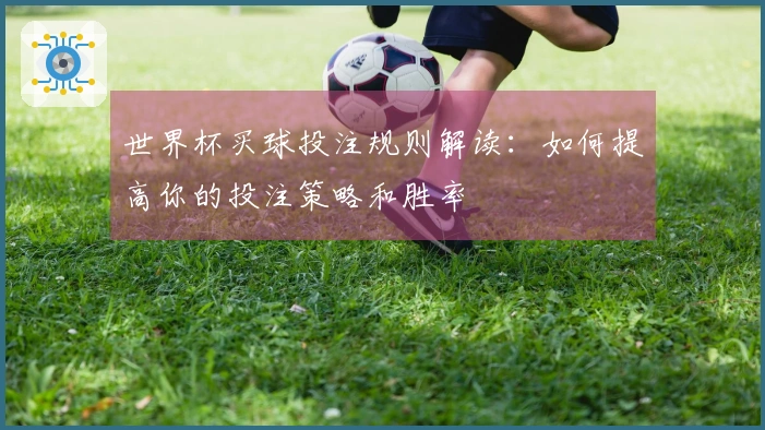 世界杯买球投注规则解读：如何提高你的投注策略和胜率