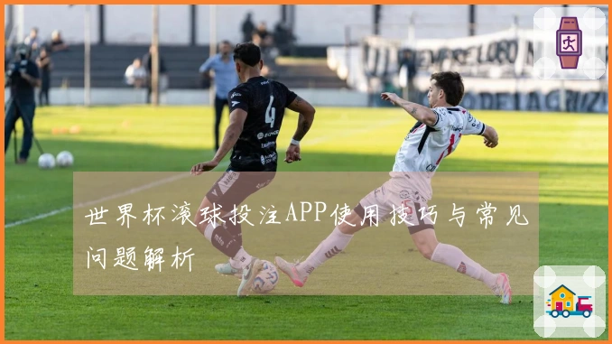 世界杯滚球投注APP使用技巧与常见问题解析